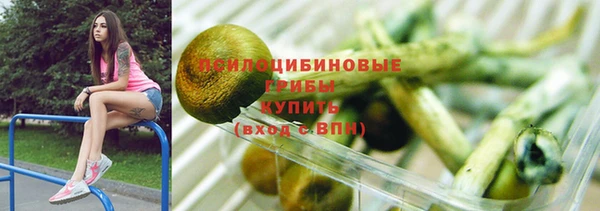 спиды Белокуриха