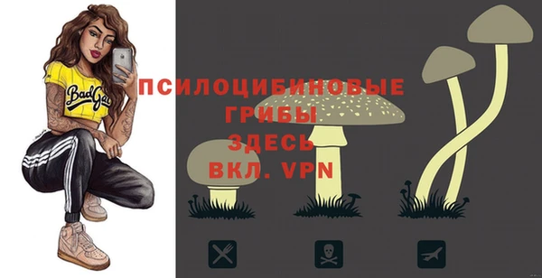 спиды Белокуриха