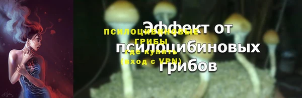 спиды Белокуриха
