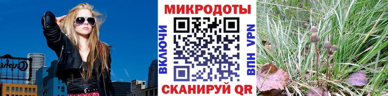 Галлюциногенные грибы прущие грибы  ссылка на мегу ссылка  Могоча 